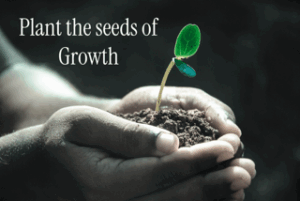 Plant Seeds of Growth